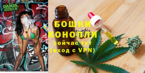 молекула духа Зеленокумск