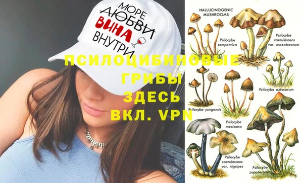 jwh Зерноград