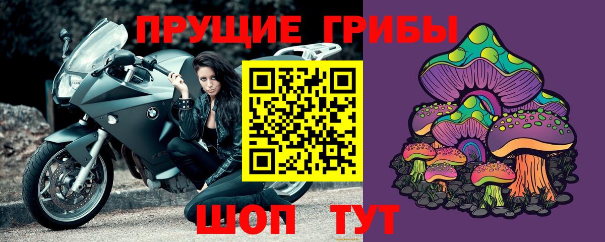 Псилоцибиновые грибы мицелий Кириши