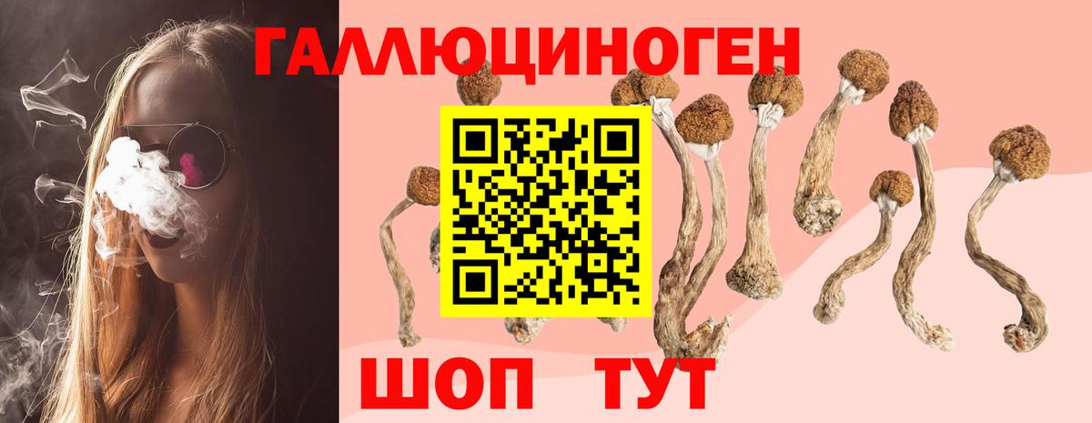 Псилоцибиновые грибы мухоморы  Вход с VPN  Кириши  Псилоцибиновые грибы GOLDEN TEACHER 