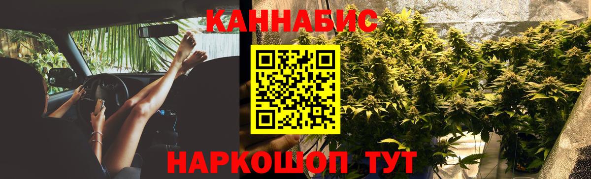 Каннабис Amnesia Кириши